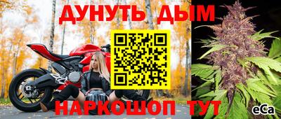 ГАЛЛЮЦИНОГЕННЫЕ ГРИБЫ Гусев