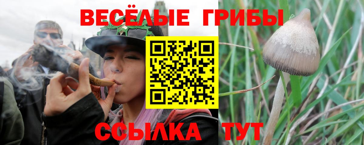 Галлюциногенные грибы Cubensis  Вход с VPN  цены   Нерюнгри 